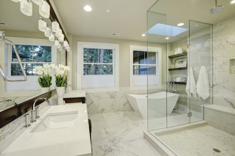 Elegant Shower Installation